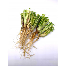 Coriander Root (100g)