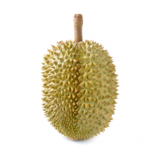 Durian - Mon Thong  (Whole 2.385 Kg)