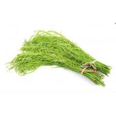 Acacia (100g)