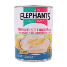 Toddy Palm & Jackfruit in Syrup - Twin Elephants (565g)  