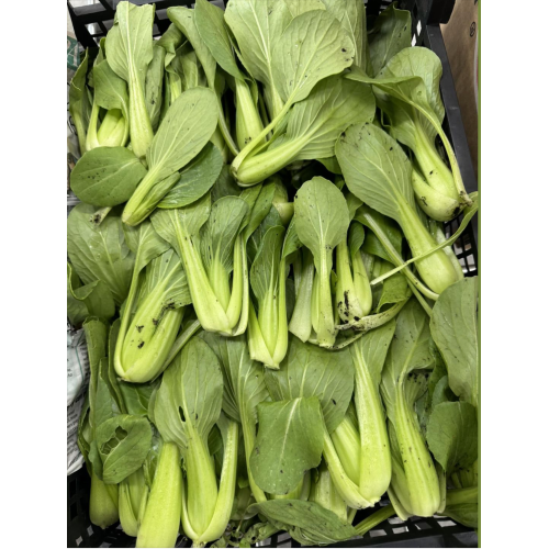 Baby Bok Choy (1kg)