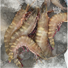 Tiger Prawns (1kg)